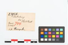Etikett zu Bronzering (NHMW-PRAE-025926)